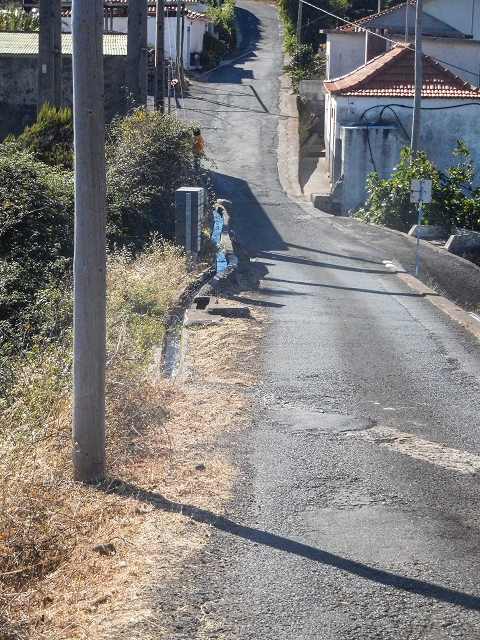 Levada da Morena — Abschnitt 3 — Foto 7