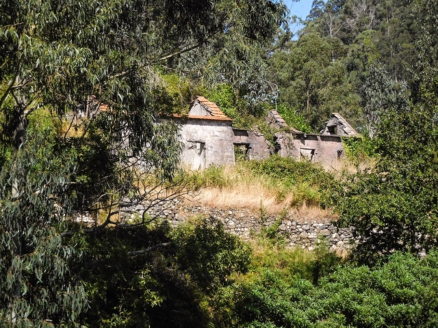 19 August 2017 On the trail of the Levada do Pico do Arvoredo in and around Camacha — On the first intact section of the Levada do Pico do Arvoredo towards the Madre — photo 22