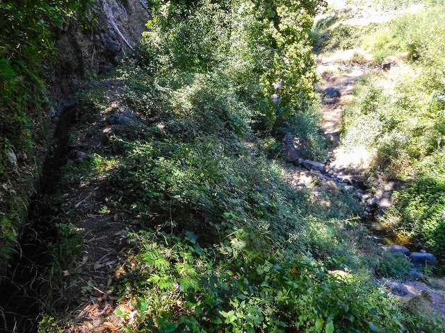 Levada do Pico do Arvoredo — Zum Ende des unzugänglichen Tunnels (2017) — Foto 1