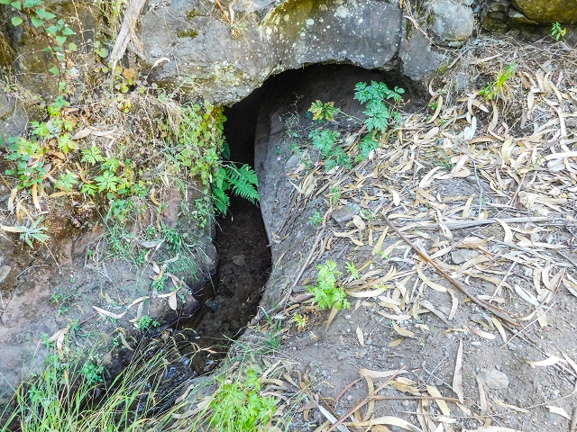 Levada do Pico do Arvoredo — Zum Ende des unzugänglichen Tunnels (2017) — Foto 2