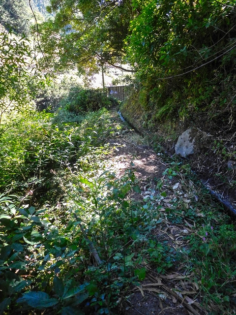 19 August 2017 On the trail of the Levada do Pico do Arvoredo in and around Camacha — Madre area: the end of the inaccessible tunnel — photo 3