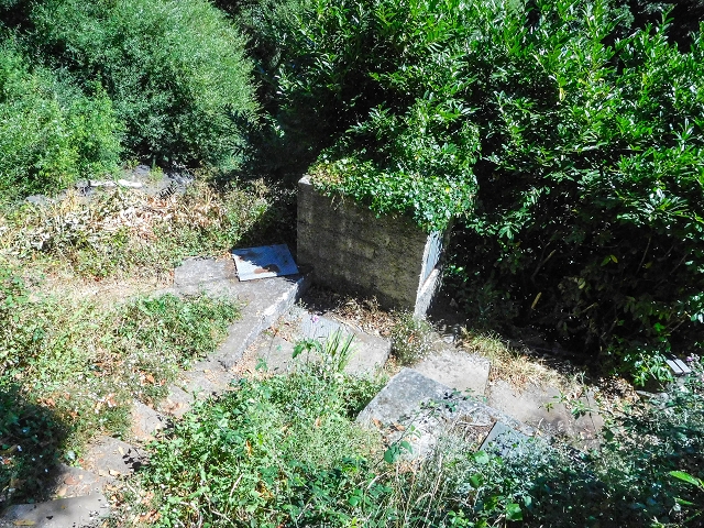 19 August 2017 On the trail of the Levada do Pico do Arvoredo in and around Camacha — Madre area: the path to the Madre — photo 1