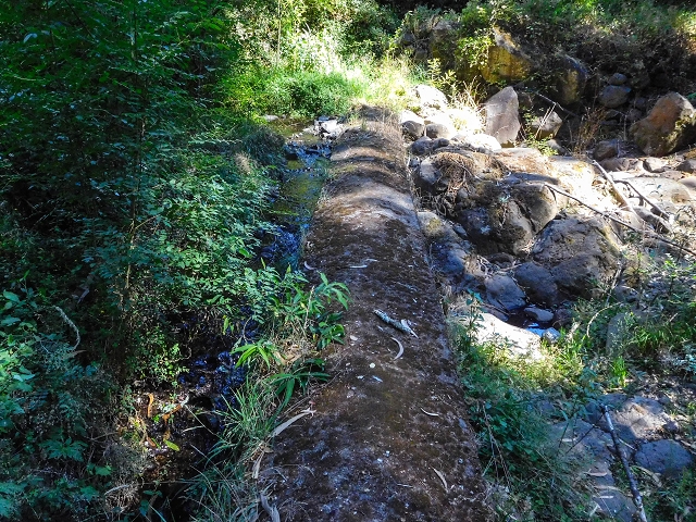 19 August 2017 On the trail of the Levada do Pico do Arvoredo in and around Camacha — Madre area: the Madre and the path from above to the start of the inaccessible tunnel — photo 1