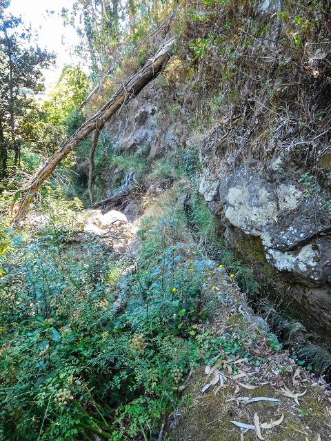 19 August 2017 On the trail of the Levada do Pico do Arvoredo in and around Camacha — Madre area: the Madre and the path from above to the start of the inaccessible tunnel — photo 2