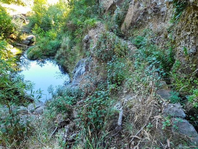 Levada do Pico do Arvoredo — Madre bis zum Beginn des unzugänglichen Tunnel (Stand 2017) — Foto 3