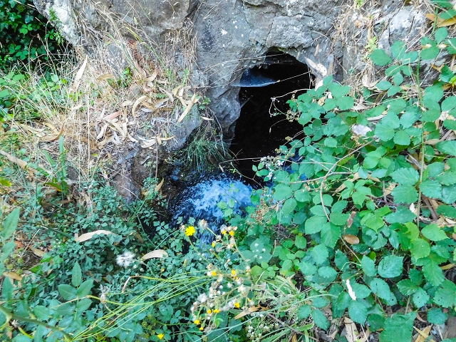 Levada do Pico do Arvoredo — Madre bis zum Beginn des unzugänglichen Tunnel (Stand 2017) — Foto 4