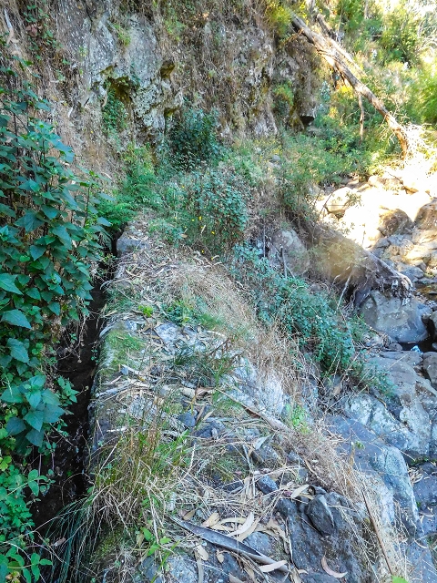 19 August 2017 On the trail of the Levada do Pico do Arvoredo in and around Camacha — Madre area: the Madre and the path from above to the start of the inaccessible tunnel — photo 6