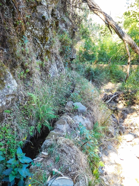 19 August 2017 On the trail of the Levada do Pico do Arvoredo in and around Camacha — Madre area: the Madre and the path from above to the start of the inaccessible tunnel — photo 7