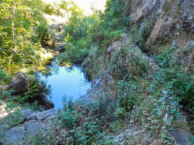 19 August 2017 On the trail of the Levada do Pico do Arvoredo in and around Camacha — Madre area: the Madre and the path from above to the start of the inaccessible tunnel — photo 8