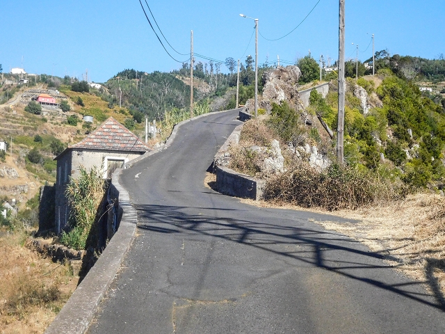 Levada da Morena — Abschnitt 3 — Foto 6