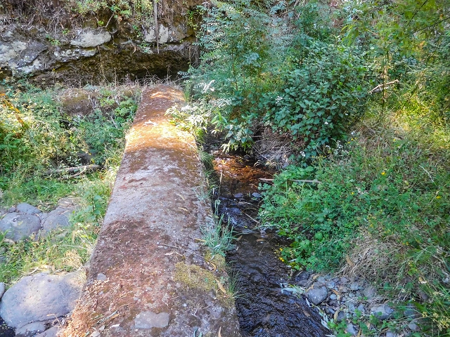 19 August 2017 On the trail of the Levada do Pico do Arvoredo in and around Camacha — Madre area: the Madre and the path from above to the start of the inaccessible tunnel — photo 11