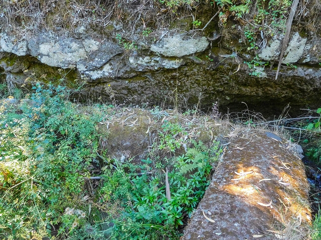 19 August 2017 On the trail of the Levada do Pico do Arvoredo in and around Camacha — Madre area: the Madre and the path from above to the start of the inaccessible tunnel — photo 13