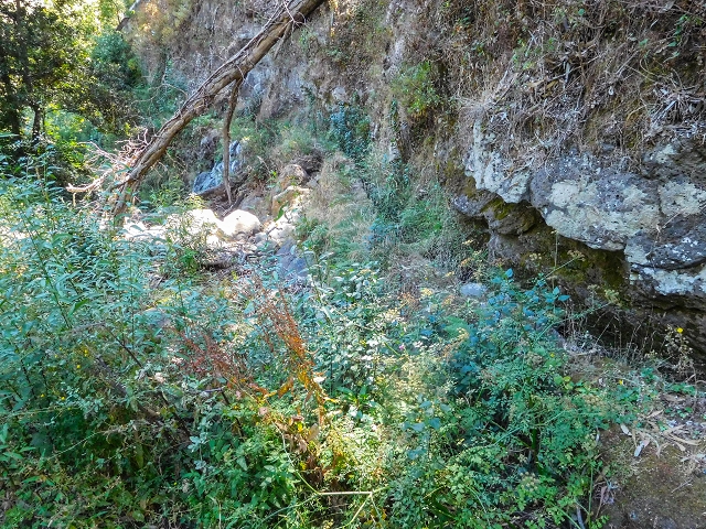 19 August 2017 On the trail of the Levada do Pico do Arvoredo in and around Camacha — Madre area: the Madre and the path from above to the start of the inaccessible tunnel — photo 14