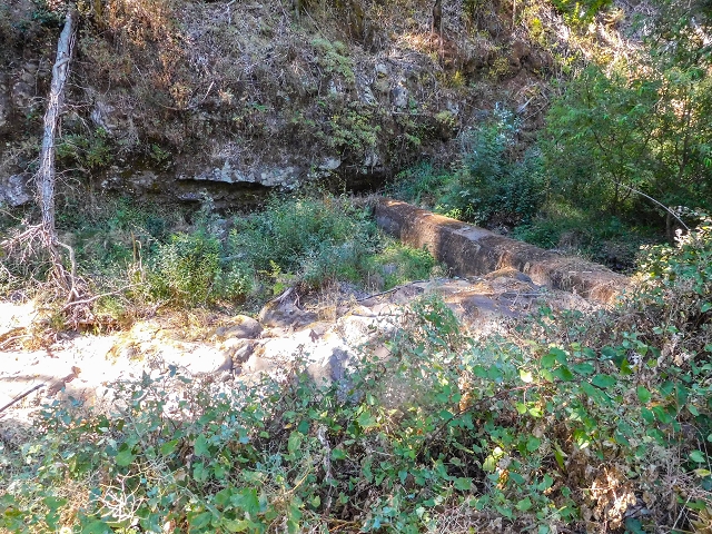 19 August 2017 On the trail of the Levada do Pico do Arvoredo in and around Camacha — Madre area: the Madre and the path from above to the start of the inaccessible tunnel — photo 15
