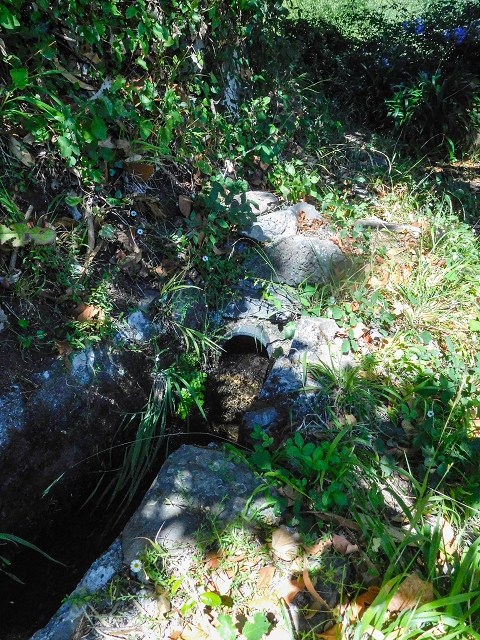 19 August 2017 On the trail of the Levada do Pico do Arvoredo in and around Camacha — Madre area: the Madre and the path from above to the start of the inaccessible tunnel — photo 19