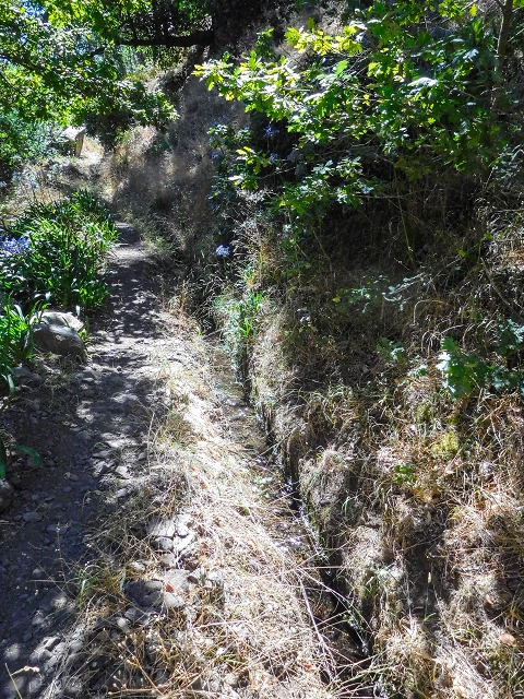 19 August 2017 On the trail of the Levada do Pico do Arvoredo in and around Camacha — Madre area: the Madre and the path from above to the start of the inaccessible tunnel — photo 20