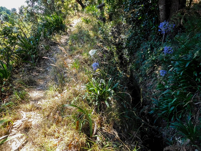 19 August 2017 On the trail of the Levada do Pico do Arvoredo in and around Camacha — Madre area: the Madre and the path from above to the start of the inaccessible tunnel — photo 22