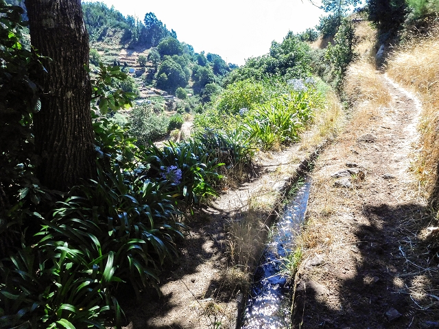 19 August 2017 On the trail of the Levada do Pico do Arvoredo in and around Camacha — Madre area: the Madre and the path from above to the start of the inaccessible tunnel — photo 25
