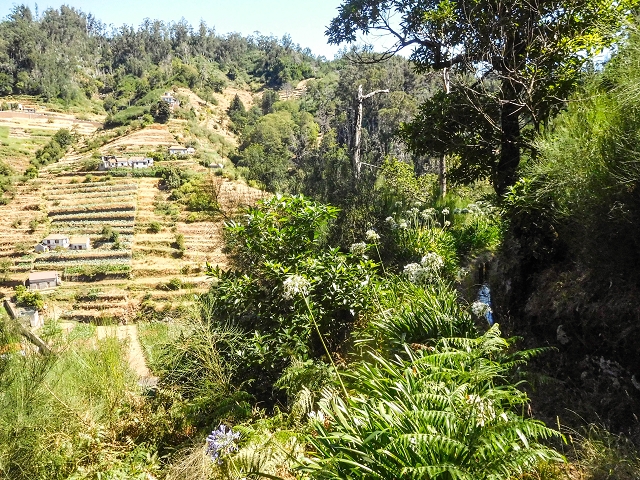 Levada do Pico do Arvoredo — Aussichtsreicher Levadaverlauf — Foto 4