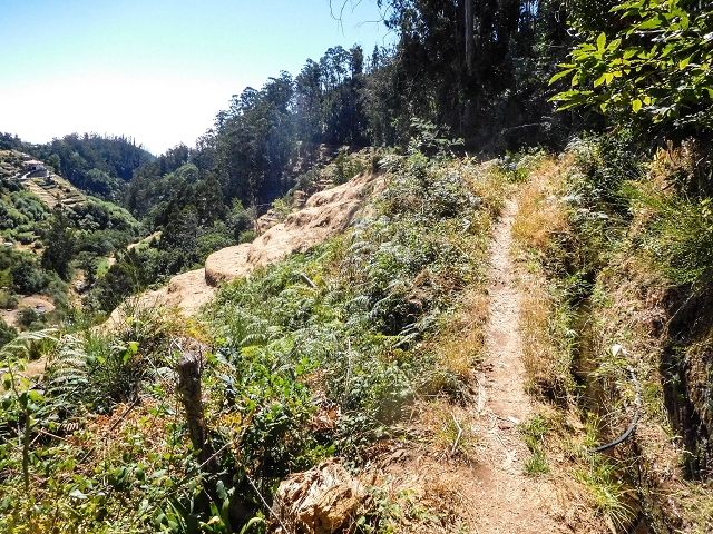 Levada do Pico do Arvoredo — Aussichtsreicher Levadaverlauf — Foto 5