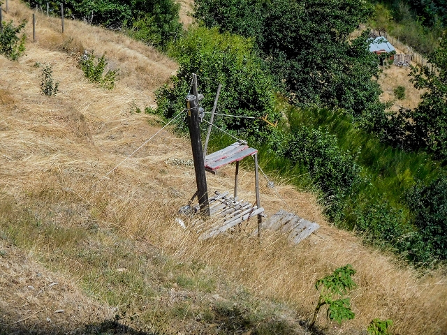 19 August 2017 On the trail of the Levada do Pico do Arvoredo in and around Camacha — Back to the end of the visible section of the Levada do Pico do Arvoredo — photo 4