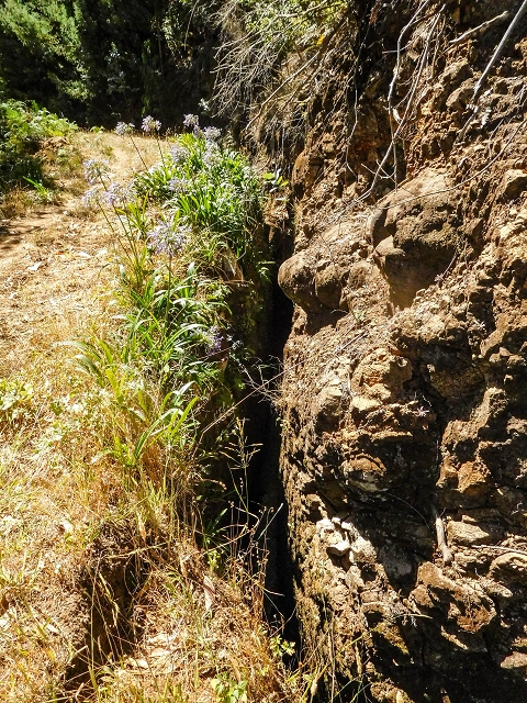 Levada do Pico do Arvoredo — Tief eingeschnittene Levada neben hohem Damm (2017) — Foto 2