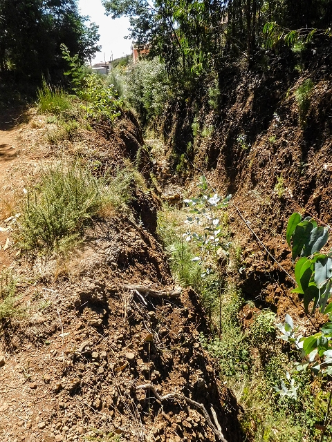 Levada do Pico do Arvoredo — Tief eingeschnittene Levada neben hohem Damm (2017) — Foto 1