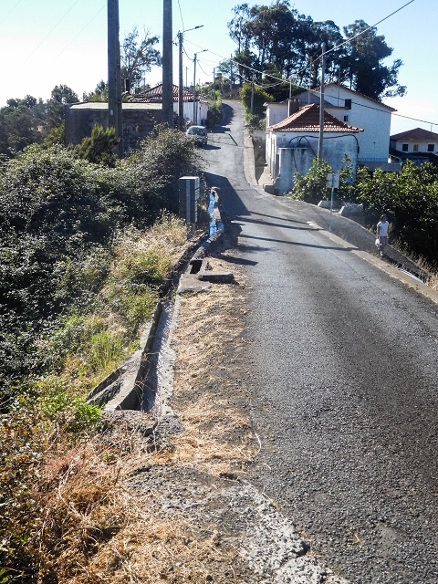 Levada da Morena — Abschnitt 3 — Foto 5