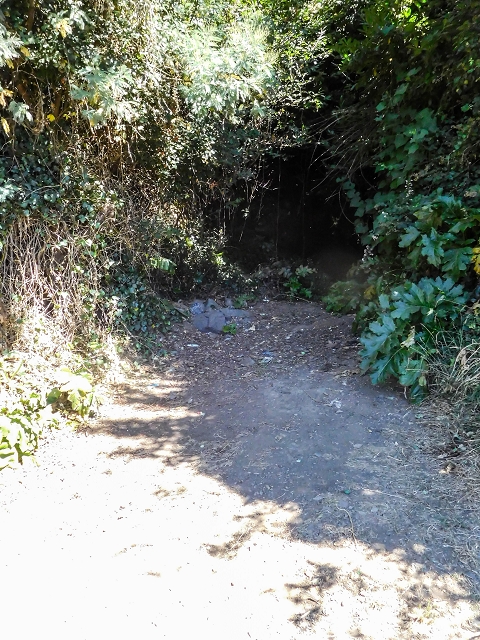 19 August 2017 On the trail of the Levada do Pico do Arvoredo in and around Camacha — From here the levada runs in pipes, but old remains can still be seen — photo 4