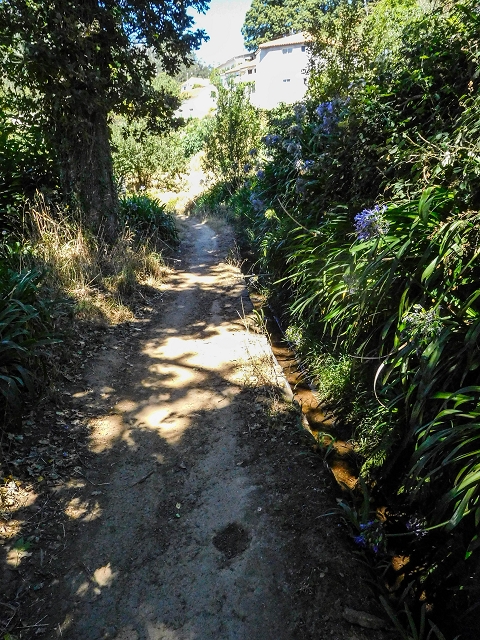 Levada da Serra do Faial von Lamaceiros/Lombo da Raiz zum Pico do Infante — Abschnitt 3 — Foto 7