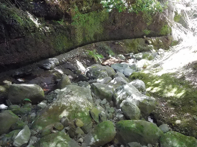 20.06.2016 Levada da Serra da Ponte do Pargo-Levada Nova-Rundtour — Unterer Ast bis zur alten Madre und zurück zur Verzweigung — Foto 8