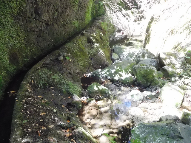 20.06.2016 Levada da Serra da Ponte do Pargo-Levada Nova-Rundtour — Unterer Ast bis zur alten Madre und zurück zur Verzweigung — Foto 13