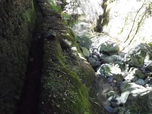 20.06.2016 Levada da Serra da Ponte do Pargo-Levada Nova-Rundtour — Unterer Ast bis zur alten Madre und zurück zur Verzweigung — Foto 14