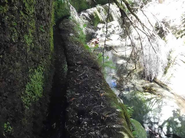 20.06.2016 Levada da Serra da Ponte do Pargo-Levada Nova-Rundtour — Unterer Ast bis zur alten Madre und zurück zur Verzweigung — Foto 15