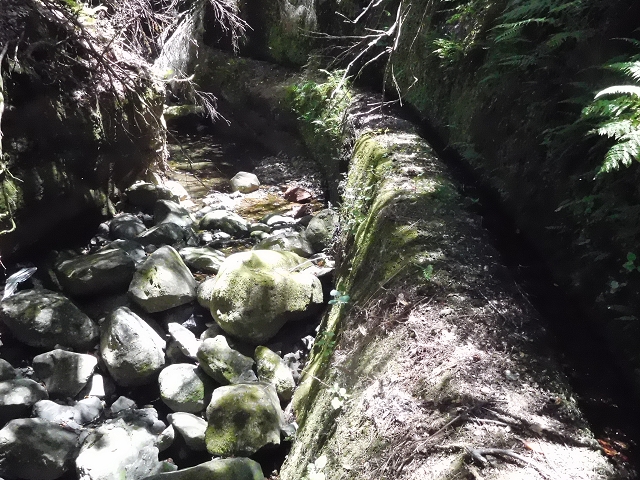 20.06.2016 Levada da Serra da Ponte do Pargo-Levada Nova-Rundtour — Unterer Ast bis zur alten Madre und zurück zur Verzweigung — Foto 18