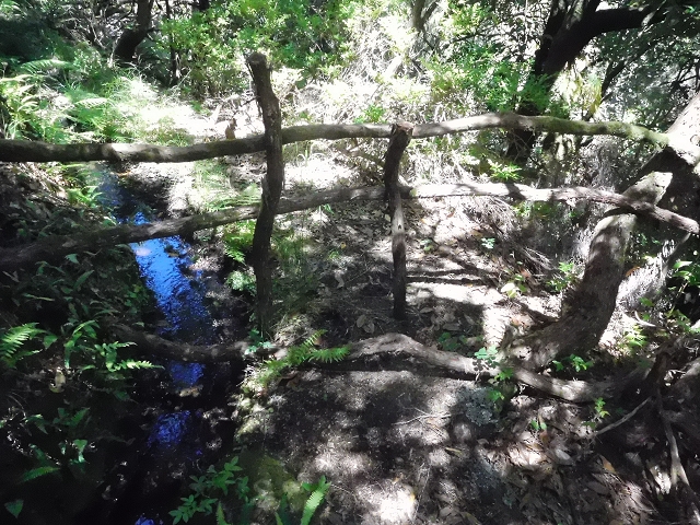 20.06.2016 Levada da Serra da Ponte do Pargo-Levada Nova-Rundtour — Unterer Ast bis zur alten Madre und zurück zur Verzweigung — Foto 20