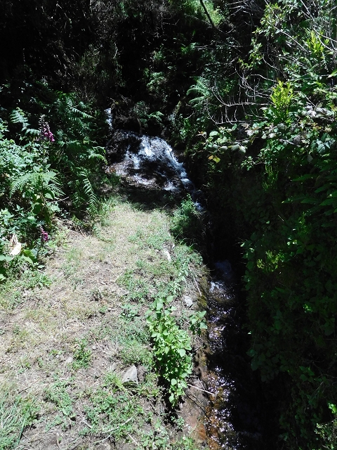 20.06.2016 Levada da Serra da Ponte do Pargo-Levada Nova-Rundtour — Zurück zur Bachpassage — Foto 13