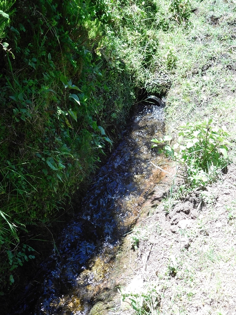 20.06.2016 Levada da Serra da Ponte do Pargo-Levada Nova-Rundtour — Zurück zur Bachpassage — Foto 15