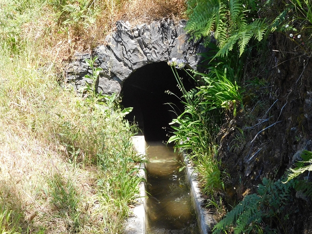 Levada Nova — Ponta do Pargo, Ribeira dos Moinhos — Foto 10