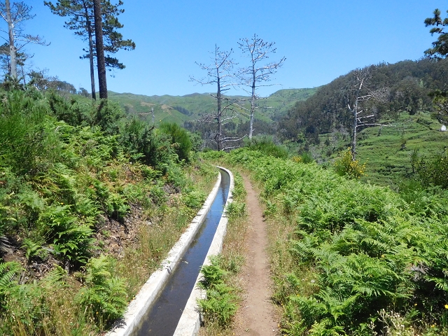 Levada Nova — Ponta do Pargo, Ribeira dos Moinhos — Foto 8
