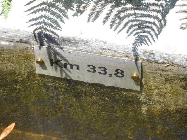 Levada Nova — Ponta do Pargo, Ribeira dos Moinhos — Foto 7