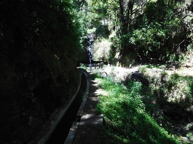 Levada Nova — Ponta do Pargo, Ribeira dos Moinhos — Foto 5