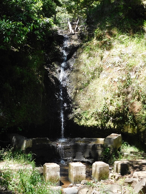Levada Nova — Ponta do Pargo, Ribeira dos Moinhos — Foto 6