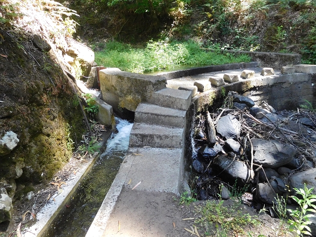 Levada Nova — Ponta do Pargo, Ribeira dos Moinhos — Foto 4