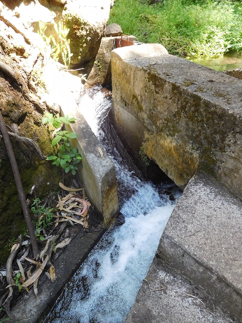 20.06.2016 Levada da Serra da Ponte do Pargo-Levada Nova-Rundtour — Zurück auf der Levada Nova — Foto 17