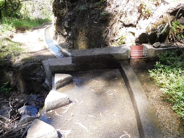 20.06.2016 Levada da Serra da Ponte do Pargo-Levada Nova-Rundtour — Zurück auf der Levada Nova — Foto 18