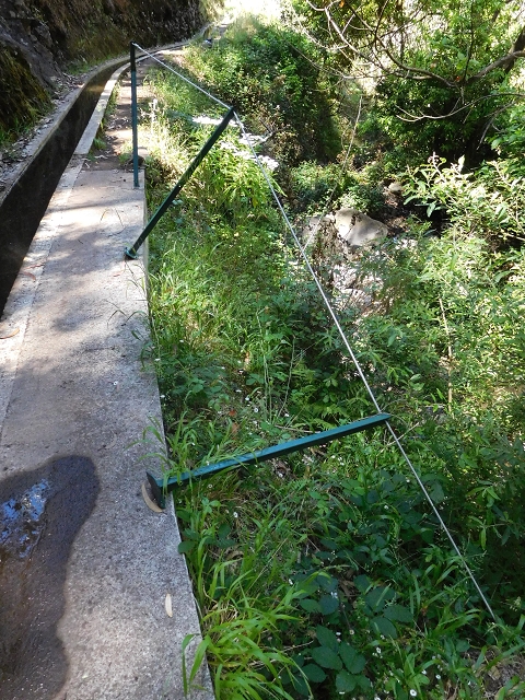 20.06.2016 Levada da Serra da Ponte do Pargo-Levada Nova-Rundtour — Zurück auf der Levada Nova — Foto 20