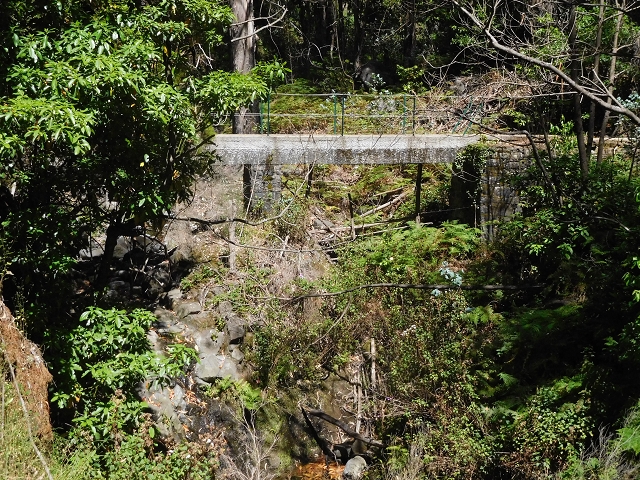 20.06.2016 Levada da Serra da Ponte do Pargo-Levada Nova-Rundtour — Zurück auf der Levada Nova — Foto 21