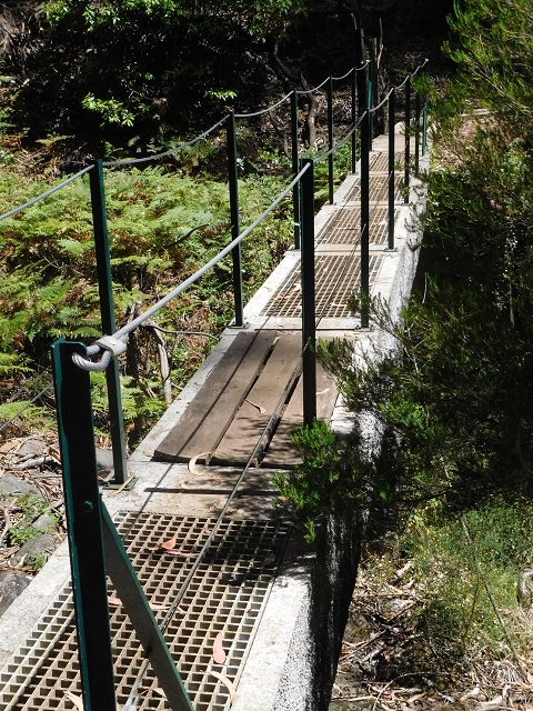 Levada Nova — Ponta do Pargo, Ribeira dos Moinhos — Foto 2