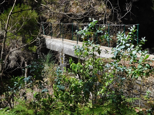 Levada Nova — Ponta do Pargo, Ribeira dos Moinhos — Foto 3